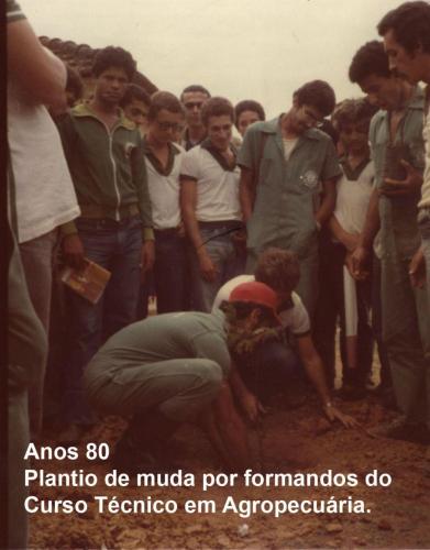 20 - Plantio de mudas curso no curso de Agropecuária (b), nos anos 80.