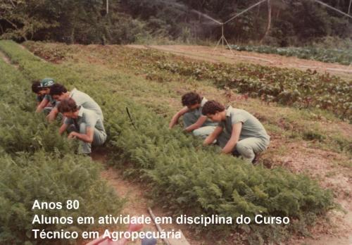 21 - Aula Prática do curso de Técnico em Agropecuária, anos 1980
